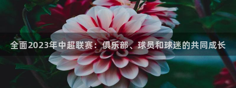 全面2023年中超联赛：俱乐部、球员