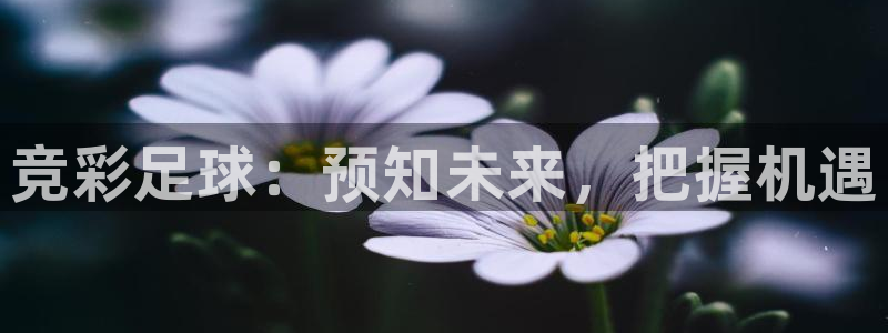竞彩足球：预知未来，把握机遇