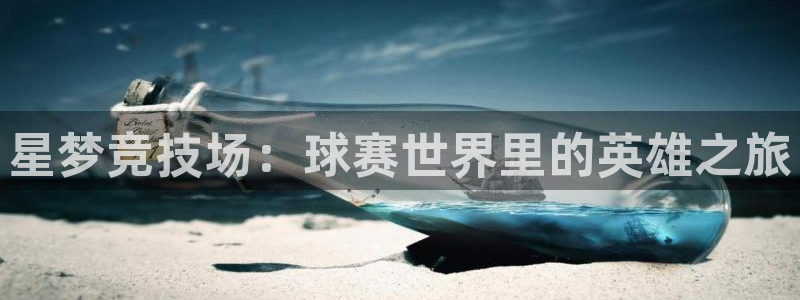 星梦竞技场：球赛世界里的英雄之旅
