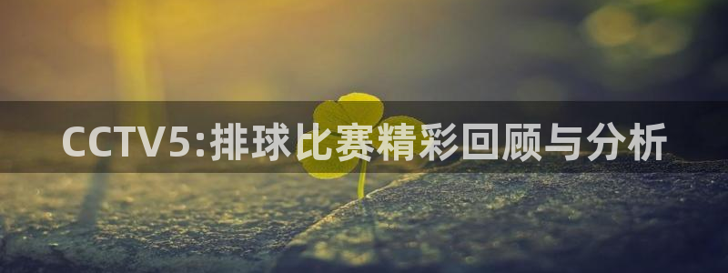  VSports能提现么：CCTV5:排球比赛精彩回顾与分析