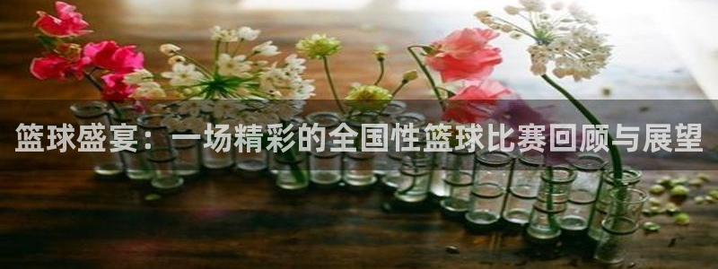  vsport体育在线阿根廷：篮球盛宴：一场精彩的全国性篮球比
