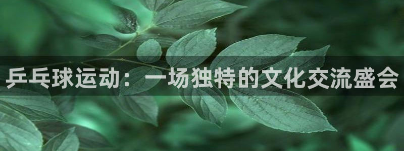 vSport体育在线登录平台：乒乓球运动：一场独特的文化交流