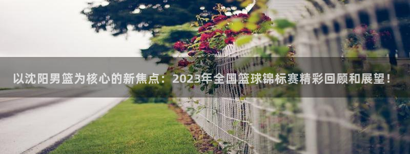  vsport体育平台app下载安装免费：以沈阳男篮为核心的新