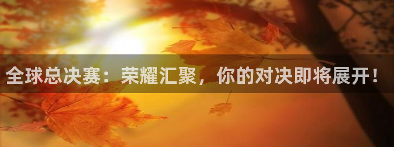  VSport胜利因您更精彩在线注册：全球总决赛：荣耀汇聚，你