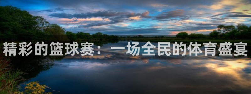  VSPORT是哪国的品牌：精彩的篮球赛：一场全民的体育盛宴